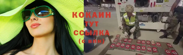 соль ск Алексеевка