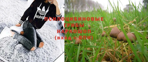 твердый Великий Новгород